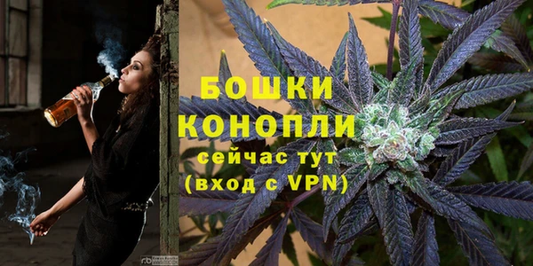 mix Богородск