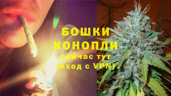 прущие крисы Богданович