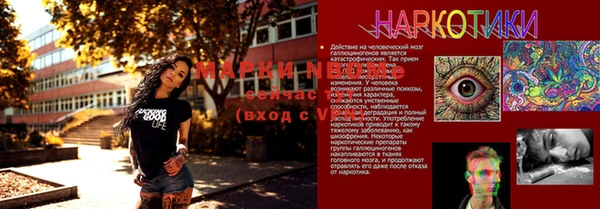 mix Богородск