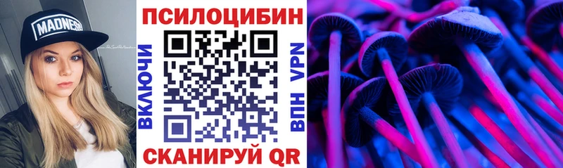 Псилоцибиновые грибы Cubensis  Верещагино 