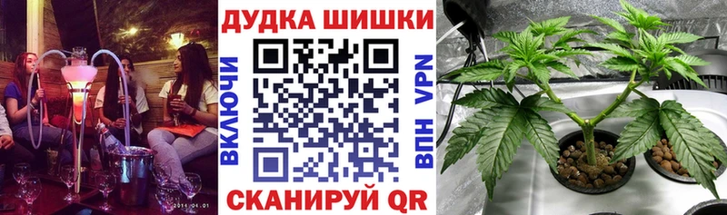 Бошки Шишки THC 21%  Верещагино 